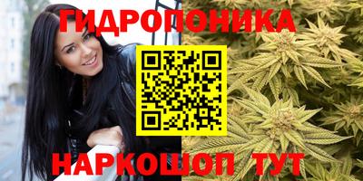 винт Гагарин