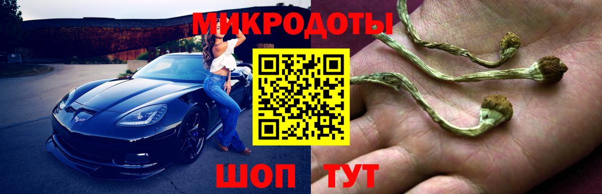 Галлюциногенные грибы Psilocybe  наркота  Коркино  Вход с VPN 